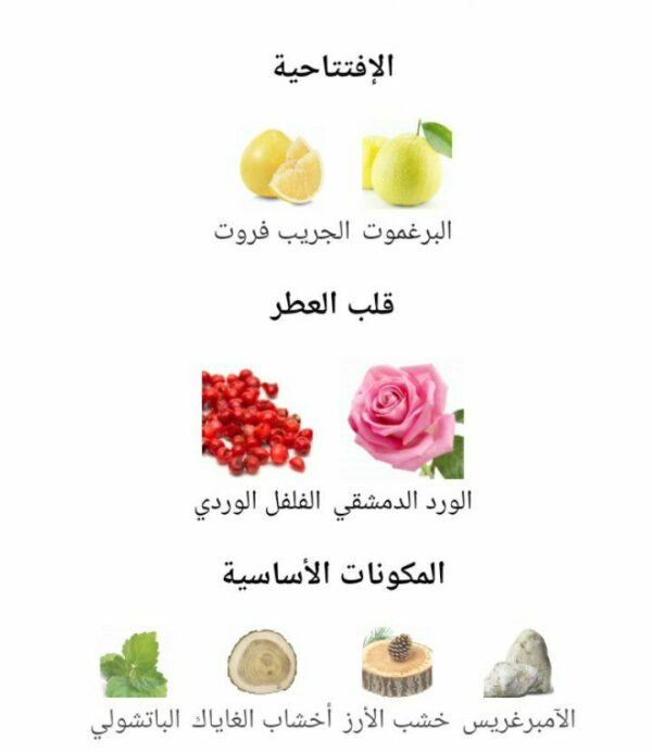 ⁦عطر ديور أمبر نويت للجنسين Dior Ambre Nuit⁩ - الصورة ⁦2⁩