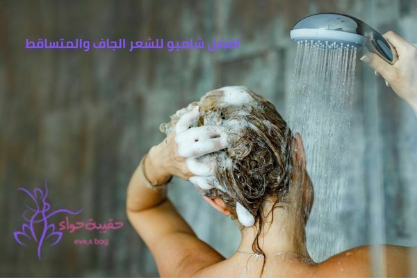 افضل شامبو للشعر الجاف والمتساقط